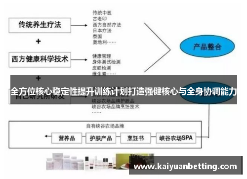 全方位核心稳定性提升训练计划打造强健核心与全身协调能力