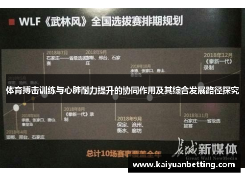 体育搏击训练与心肺耐力提升的协同作用及其综合发展路径探究